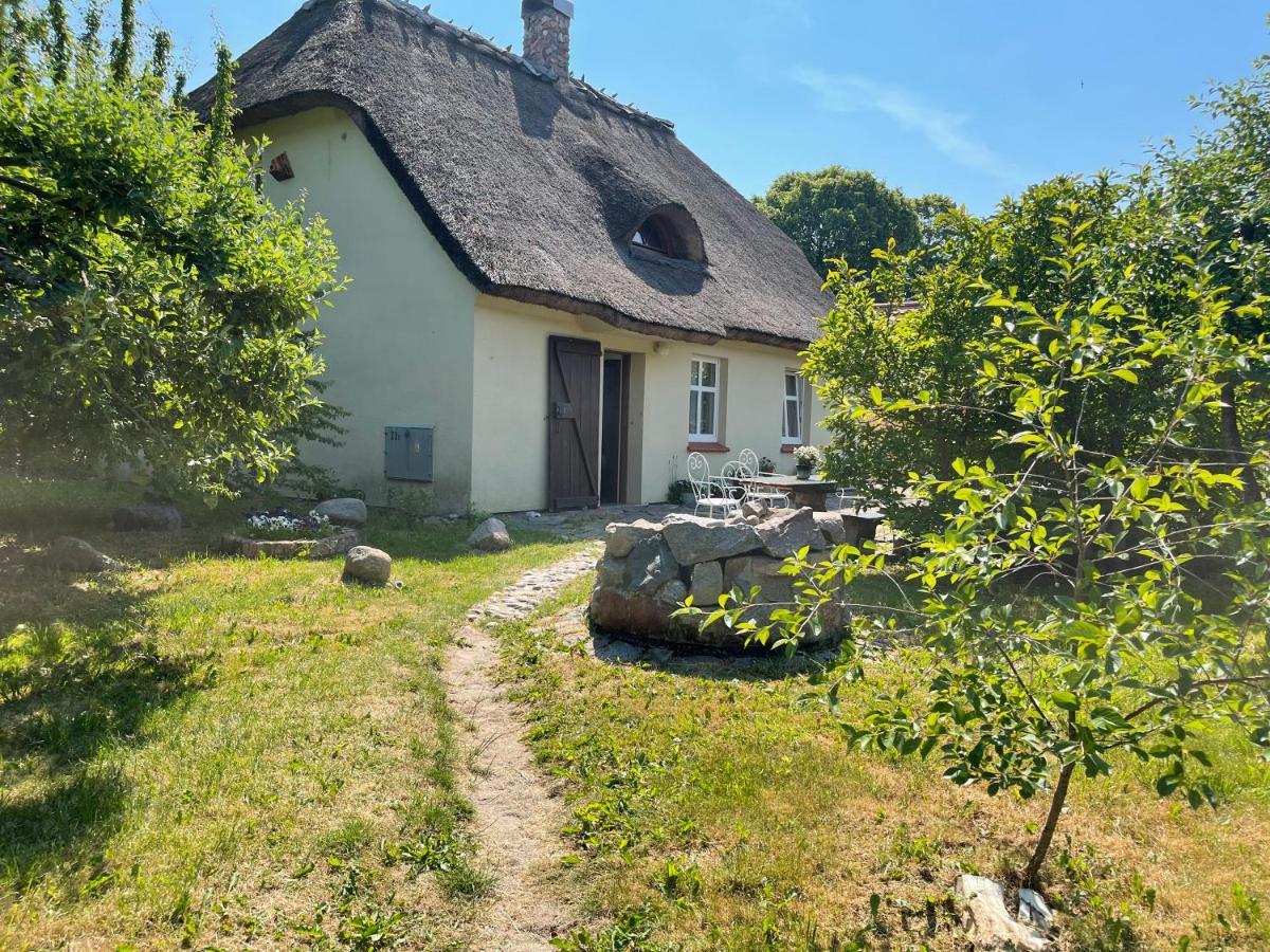 Oaza Pod Strzecha Klimatyczny Dom Z 3 Sypialniami Na Wylacznosc Z Kominkiem I Duzym Ogrodem Ustronie Morskie Buitenkant foto
